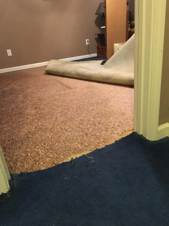 Carpet pad removal revealing water damage during Drying & Dehumidification in La Verne